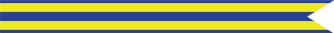 Navy Expeditionary Campaign Streamer (1 silver star, 2 bronze stars)